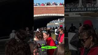 OarBoard® at the Head of the Charles Regatta 2024 [upl. by Andros]