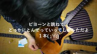 恒例の初レッスン前弦の張り替え2019 [upl. by Nagol998]