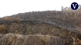 Extinguido el incendio en Bera con unas 1800 hectáreas quemadas [upl. by Phene]