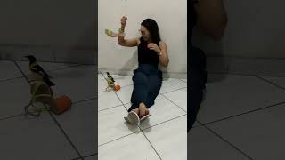 O Zé não deixa a Gláucia mexer na sandália 😂😂 humor passarinho pets [upl. by Asined]