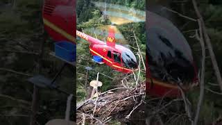 R44 Helicopter Logging Support SE Alaska Part 2 [upl. by Ricardo]