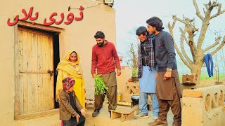 DOORI BALAAN  ڈوری بلاں  New funny story 2024  Best Comedy Video  Ali Khan amp Alia Malik Team [upl. by Hoag]