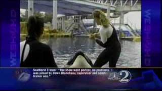 Report Details SeaWorld Trainers Last Moments [upl. by Ennairol]