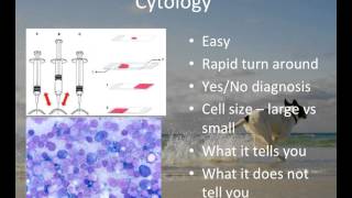 Cytology in the Diagnosis of Cancer [upl. by Ahtanamas990]