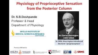 Physiology of Proprioceptive Sensation from the Posterior Column by SB Deshpande [upl. by Aihsa]