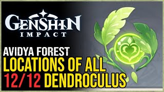 All Avidya Forest Dendroculus Genshin Impact [upl. by Fayre]