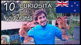 10 Curiosità sulla Nuova Zelanda [upl. by Agni375]