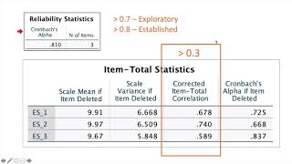 Reliability Analysis Using SPSS  Inter Item Consistency Cronbach Alpha [upl. by Teirrah]