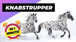 Knabstrupper  In 1 Minute 🐴 One Of The Most Beautiful Horses In The World  1 Minute Animals [upl. by Ainahs]