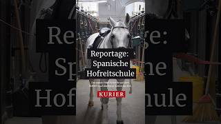 Die Spanische Hofreitschule ist die älteste Reitschule der Welt pferd wien reiten reitschule [upl. by Isdnil]