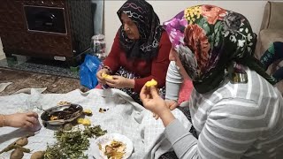 DERMANIM ELMASIMLA KUZUNE SOBADA PATLICAN YUMURTA PATATES BİBERNASILDA GİTTİ [upl. by Jezabel89]