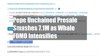 Pepe Unchained Presale Smashes 171M as Whale FOMO Intensifies [upl. by Jasun]