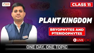 Bryophytes and Pteridophytes  Plant Kingdom  class 11  Biology  One Day One Topic [upl. by Bancroft]