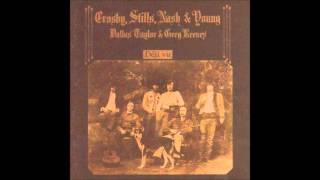 Crosby Stills Nash amp Young  Almost Cut My Hair instrumental [upl. by Ollehcram506]