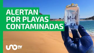 ¿Ya estás listo para tus vacaciones Alertan por estas playas contaminadas [upl. by Eentrok]