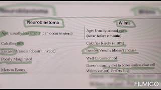 Neuroblastoma vs wilms [upl. by Elleuqar]