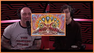 Hamilton Morris Shares His DMT Experience🤯  Joe Rogan Clips [upl. by Letha]