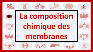 🔴cytophysiologie cellulaire  la composition chimique de la membrane plasmique [upl. by Particia749]