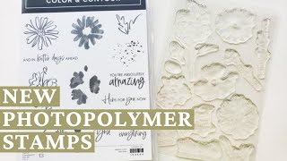 New Photopolymer Stamps From Stampin Up Heres Whats Different [upl. by Lonee124]