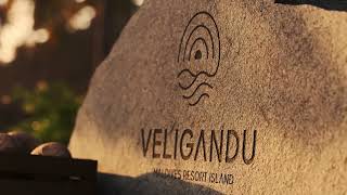 VELIGANDU Resort Maldives Animation by Kunkun Visual [upl. by Ecnahoy]