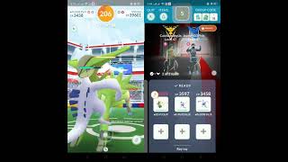 STONE EDGE VIRIZION DUO RAID CLEAR WEATHER pokemongoraid pokemongo legendarypokemon [upl. by Bullen]