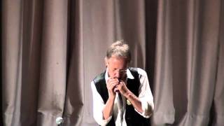 Le Meteque  Harmonica LivePerformance by harproli [upl. by Corso]