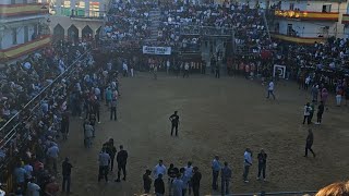 ENCIERRO TOROS ARGANDA DEL REY MADRID 8 SEPTIEMBRE 2023 [upl. by Ellan16]