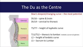 Exploring Acupuncture Points The Du Channel [upl. by Birgit]