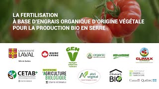 Essai sur la fertilisation biologique en serre [upl. by Jecoa]