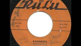 Vernalls  Raindrops  Killer RARE Philly Doo Wop Ballad [upl. by Dilan]