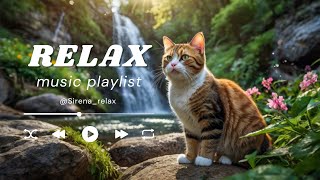 Waterfall Serenity Cat ASMR in a Peaceful Forest 貓貓瀑布山林的寧靜 asmr cat 528hz relaxing [upl. by Nelrsa665]