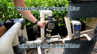 Replace a Pentair iChlor 15K 523080 Salt Cell with a Pentair IntelliChlor IC20 EC520554 [upl. by Gay]