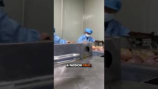 This is how passionfruit gets extracted passionfruit fruit food shorts [upl. by Bikales771]