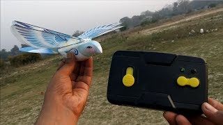 Best RC bird unboxing  flying amp testing  2 channel rc bird  remote contol flying bird play 4u [upl. by Isied763]