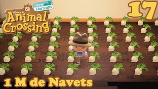 1M de Navets  Animal Crossing New Horizons [upl. by Yvon552]