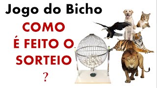 JOGO DO BICHO  COMO É REALIZADO O SORTEIO  VOCÊ SABIA QUE É REALIZADO ASSIM [upl. by O'Connor]