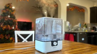 6 Month Review of CHIVALZ Humidifier [upl. by Rabjohn]