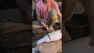 Delicious Giant Koral Fish Cutting By Expert Fish Cutter  Part1 shorts fishcuttingskills fish [upl. by Llenreb134]