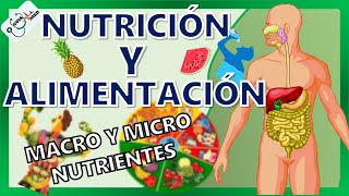 CONCEPTOS BÁSICOS DE NUTRICIÓN Y ALIMENTACIÓN  GuiaMed [upl. by Tita]