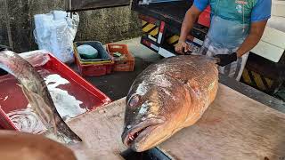 COMO SE LIMPAR UM PEIXE GRANDEESTE É O MAIOR PEIXE QUE EU JA LIMPEI 38KG limpeza semedição [upl. by Jenkins]