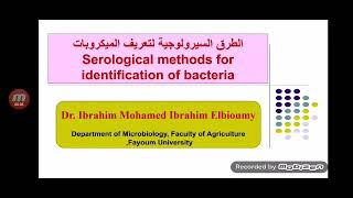 الطرق السيرولوجية لتعريف الميكروبات Serological Methods For Identification of Bacteria [upl. by Ramona977]