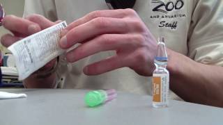 How to Prepare Epinephrine 11000 [upl. by Miun]