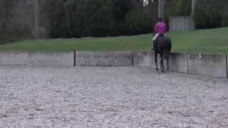 Novice 38 Nov 38 N38 Dressage Test [upl. by Aubrette]