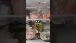 Essential tips on how to keep butchery clean and safe butchery education live food meat [upl. by Bledsoe577]