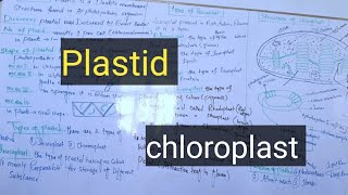 Plastidchloroplastchromoplastleucoplastpashto Detail lectures [upl. by Acim]