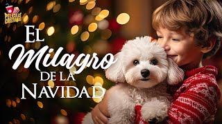 El milagro de la Navidad  Película Cristiana [upl. by Jens]