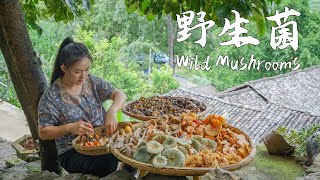 Yunnan people are currently obsessed with one thing mushroom foraging in the mountains…【滇西小哥】 [upl. by Nhguavahs262]