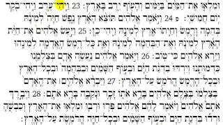 Torah Reading  Genesis Chapter 1 [upl. by Repard]