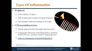 Psychoneuroimmunology Immune System and Neuroinflammation Basics Part 1 in PNI Series [upl. by Yehsa]