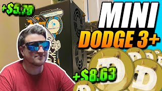 Mining Doge at Home Mini Doge 3 [upl. by Swec177]